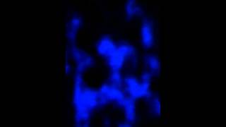 Living On Borrowed Time