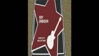 Roy Orbison - Windsurfer