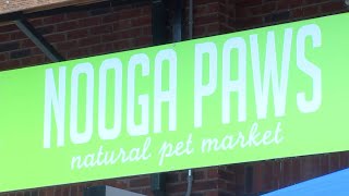 Nooga Paws, Chattanooga's only natural pet store, celebrates 12 years