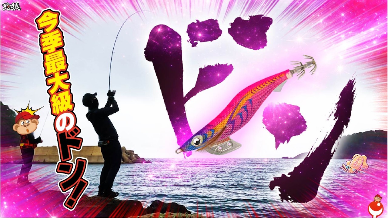 【エギング】今季最大級“ドン”炸裂！！秋冬アオリイカ釣行
