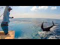 Most EPIC Sailfish Video Ever! GIANT Pacific Sailfish (Quepos, Costa Rica)