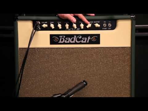 Bad Cat Hot Cat 30R 30-Watt 1x12" Guitar Combo 2010s - Black/Brown image 8