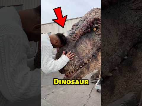 Real Life JURASSIC PARK 😱🐱‍🐉