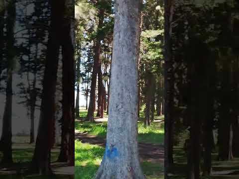 Parque idrografia canelones