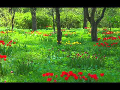 1 libovi !!!.!!!.!!!.wmv