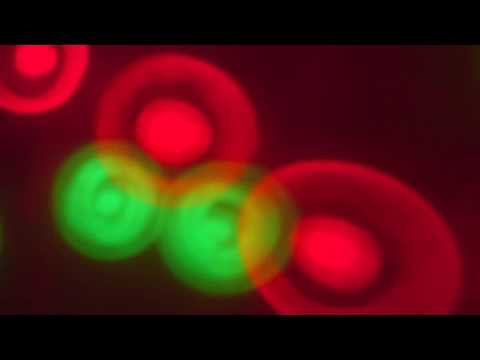 RIPOSTE - Tairo Mixtapes Vol 1 (2007 Album Street Tape 1)