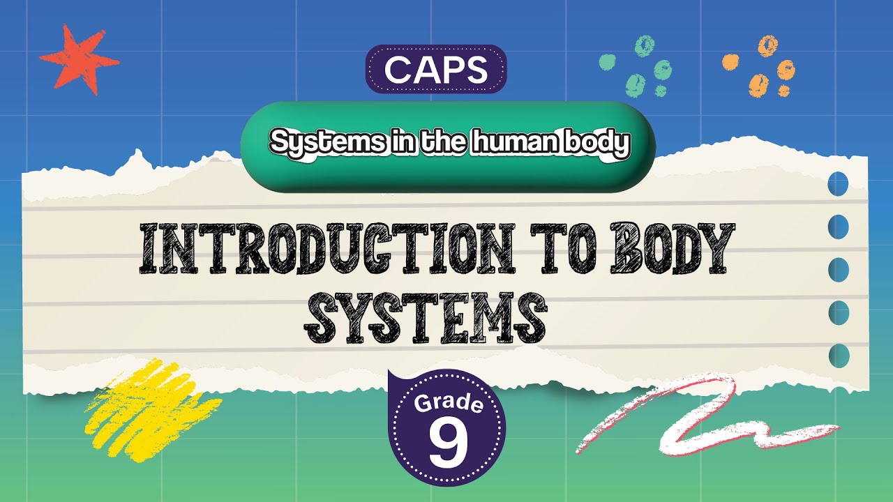 [GRADE 9] Introduction to body systems