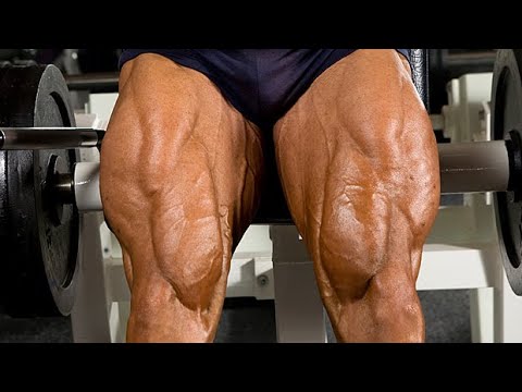 Quad Mastery: A Comprehensive Guide to Optimal Muscle Growth and Development
