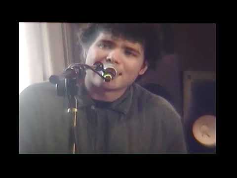 Headlights - Louella