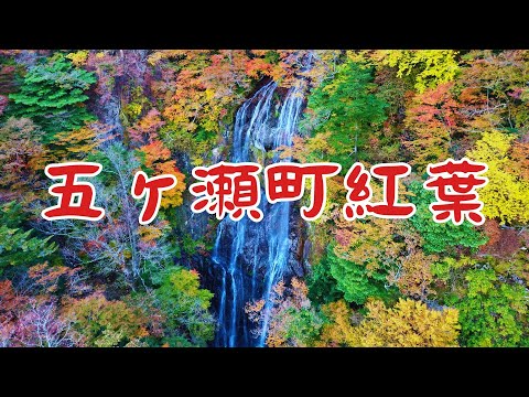 【宮崎】五ヶ瀬町紅葉