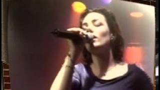 Van Bran 3000 Everywhere