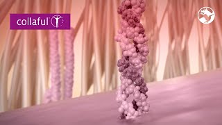Collaful™ - a collagen-based solution for overall well-being