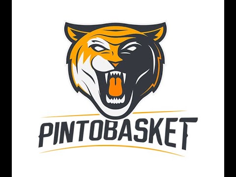 PINTOBASKET