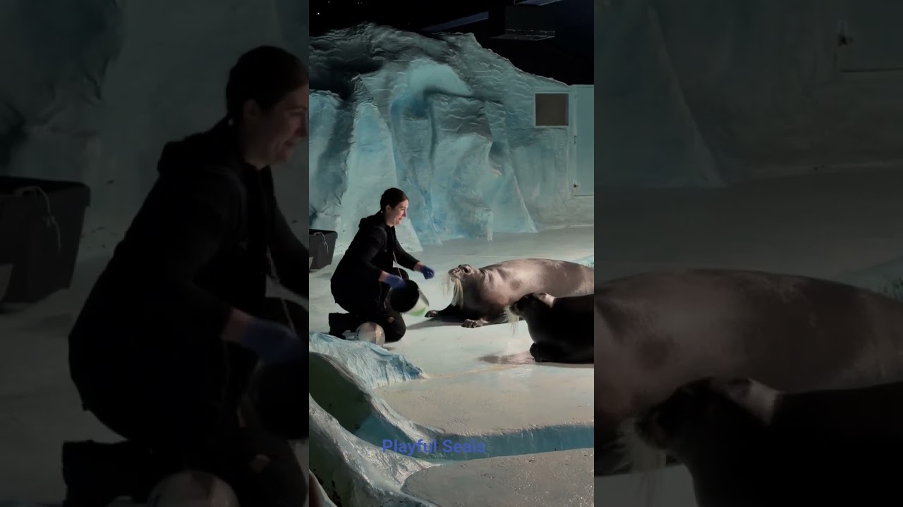 YouTube Short thumbnail