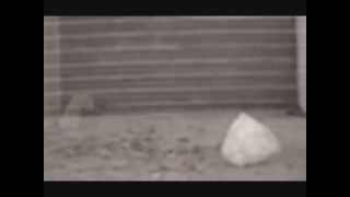 Goldfrapp &quot;Paper Bag&quot; (KCRW Studio Version) (American Beauty) (Music Video 2011)