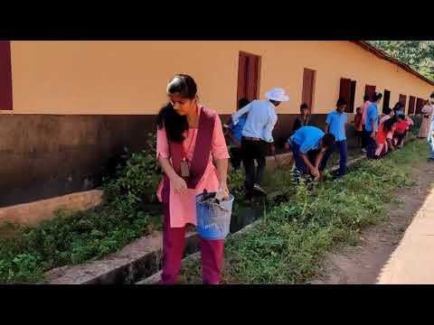 SEVA PROJECT By Babitha Felsita Pereira