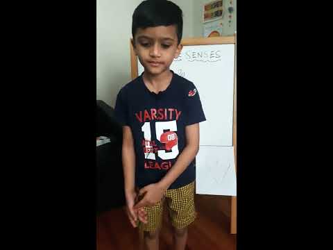 The Five Sences - By Veekshith