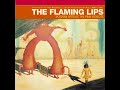 The Flaming Lips - Do You Realize?? (Lyrics)