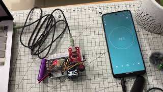 Demo: FM Radio Broadcaster