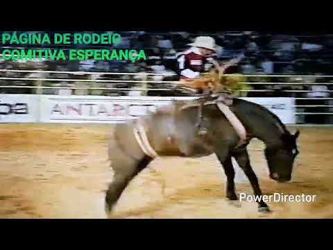 SANSÃO SILVA MENEZES V& CAVALO HAVAI CIA COSTANTE GIANCOMELLI JAGUARIUNA 93 IMAGENS TV RODEIO 
