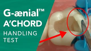 G-aenial A'CHORD – The Handling Test