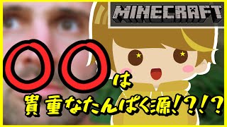 【Minecraft】マイクラのひととき日記 #1