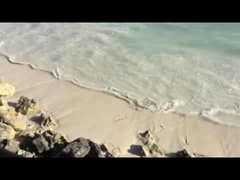 At the bunker bar Divi Tamrajn Aruba