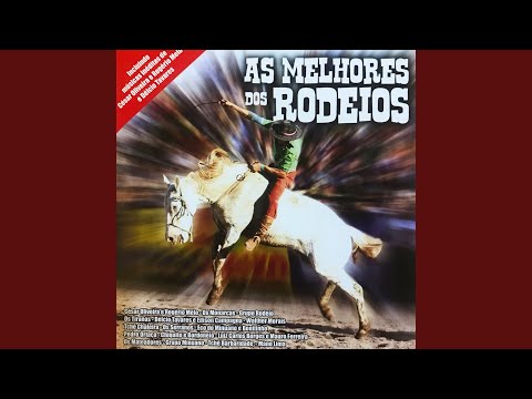 Flor de rodeio - Os Mateadores