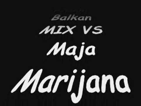 maja marijana feat denis bjelosevic VS pitbull balkan mix.wmv