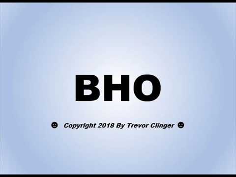 What Does BHO Stand For?