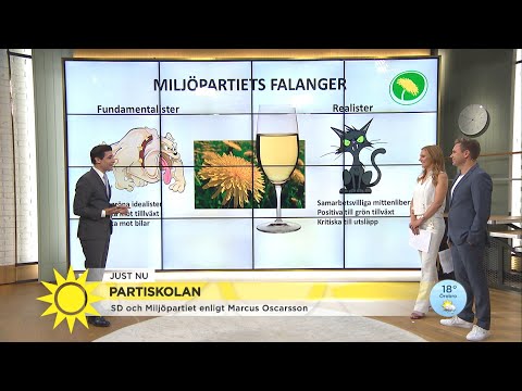 Marcus partiskola: "MP driver en extremt aktuell fråga" - Nyhetsmorgon (TV4)