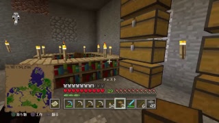 参加型マイクラ！！