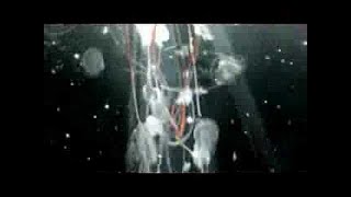 Oceania Music Video