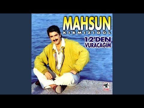 Kardeşlik Türküsü