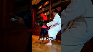 Esse cachorro salvou a vida de sua dona!#curiosidades