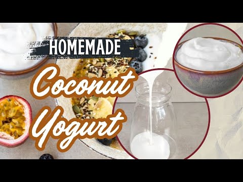 Easy Coconut Yogurt Recipe | Homemade Probiotic Yogurt with No Added Sugar
