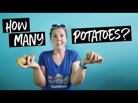 download lagu mp3 mp4 How Much Does A Potato Weigh, download lagu How Much Does A Potato Weigh gratis, unduh video klip How Much Does A Potato Weigh