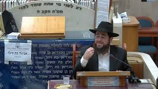 הרב דוד אטדגי | הלכות | בית הכנסת היזדים (בית הכנסת מוסאיוף) - התמונה מוצגת ישירות מתוך אתר האינטרנט יוטיוב. זכויות היוצרים בתמונה שייכות ליוצרה. קישור קרדיט למקור התוכן נמצא בתוך דף הסרטון