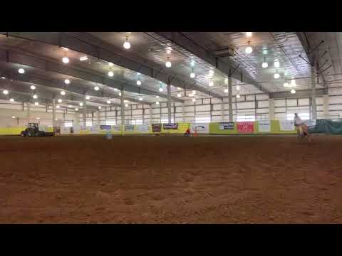 Palena Thanksgiving 2019