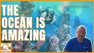 Scuba Diving’s Bright Future: 5 Reasons to Be Excited (The Best is Yet to Come!)
