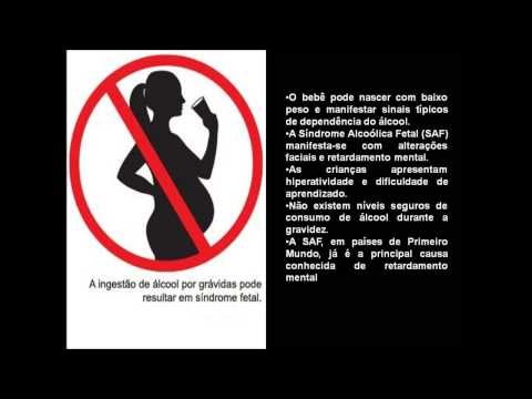 Trabalho SEPEX 2012 Colégio FAYAL 1ºB