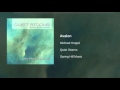 Michael Hoppé - Avalon