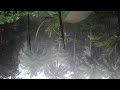 05 Heavy Stormy Night With Torrential Rainstorm Very Huge Thunder Thunder Sounds For Slep
