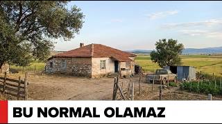 Bir Emlak Açığı Gibi Hissettirecek Kadar Ucuz 10 Türk Kasabası