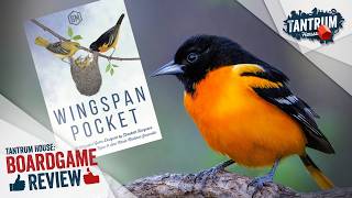 Tantrum House - Wingspan Pocket video thumbnail
