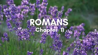 Romans Chapter 11- English Standard Version ESV Audio Bible