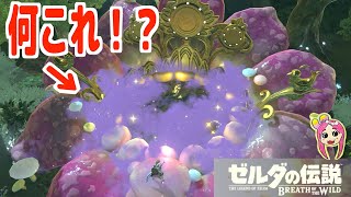 【ゼルダの伝説】森の中に大きな蕾？？大妖精の泉を発見！女子実況