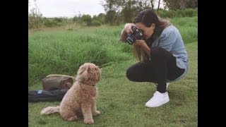 Video thumbnail for Canon EOS 800D | Learn How to Take Better Photos With the EOS 800D Guided Display by Canon ANZ