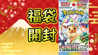 【ポケカ開封 】福袋開封だ！　テラスタルフェスex　ポケモンカード