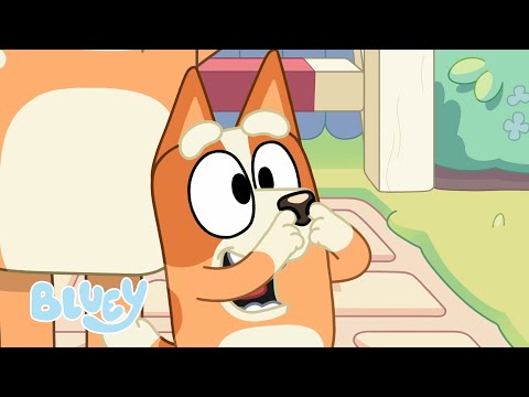 Capa de Melhores momentos de Bingo! | Bluey Português Brasil Canal Oficial